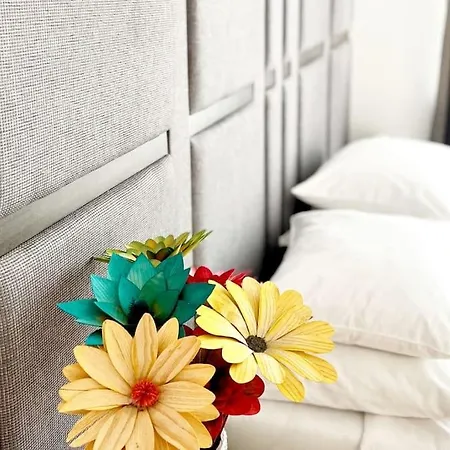 Apartment Aurelia Centar Split